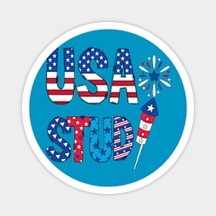 Usa Stud 4th Of July Fire Works Magnet